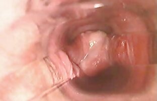XXX 141 videos de sexo audio latino
